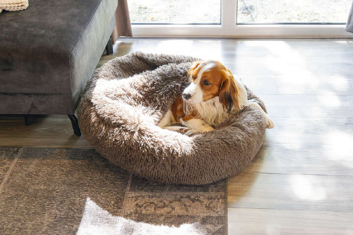 beeztees Hundebett Yala